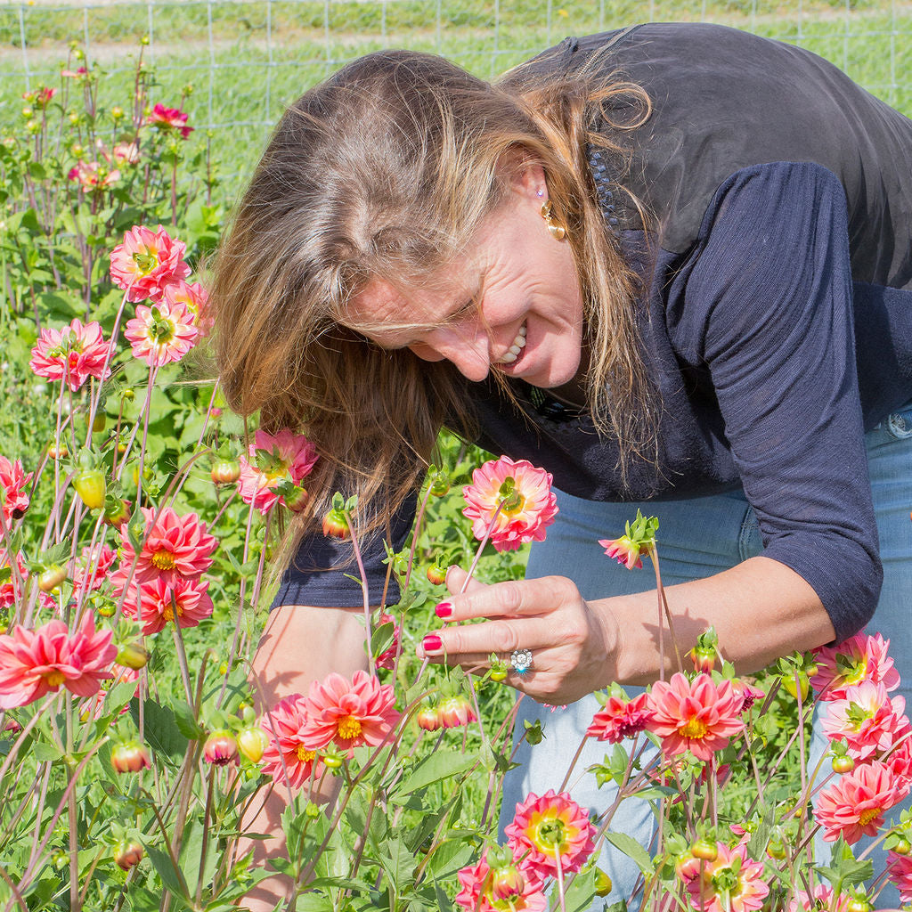 August Flower Farm Tour - Saturday 9th August 2025
