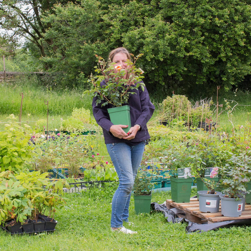 June Flower Farm Tour - Saturday 14th June 2025
