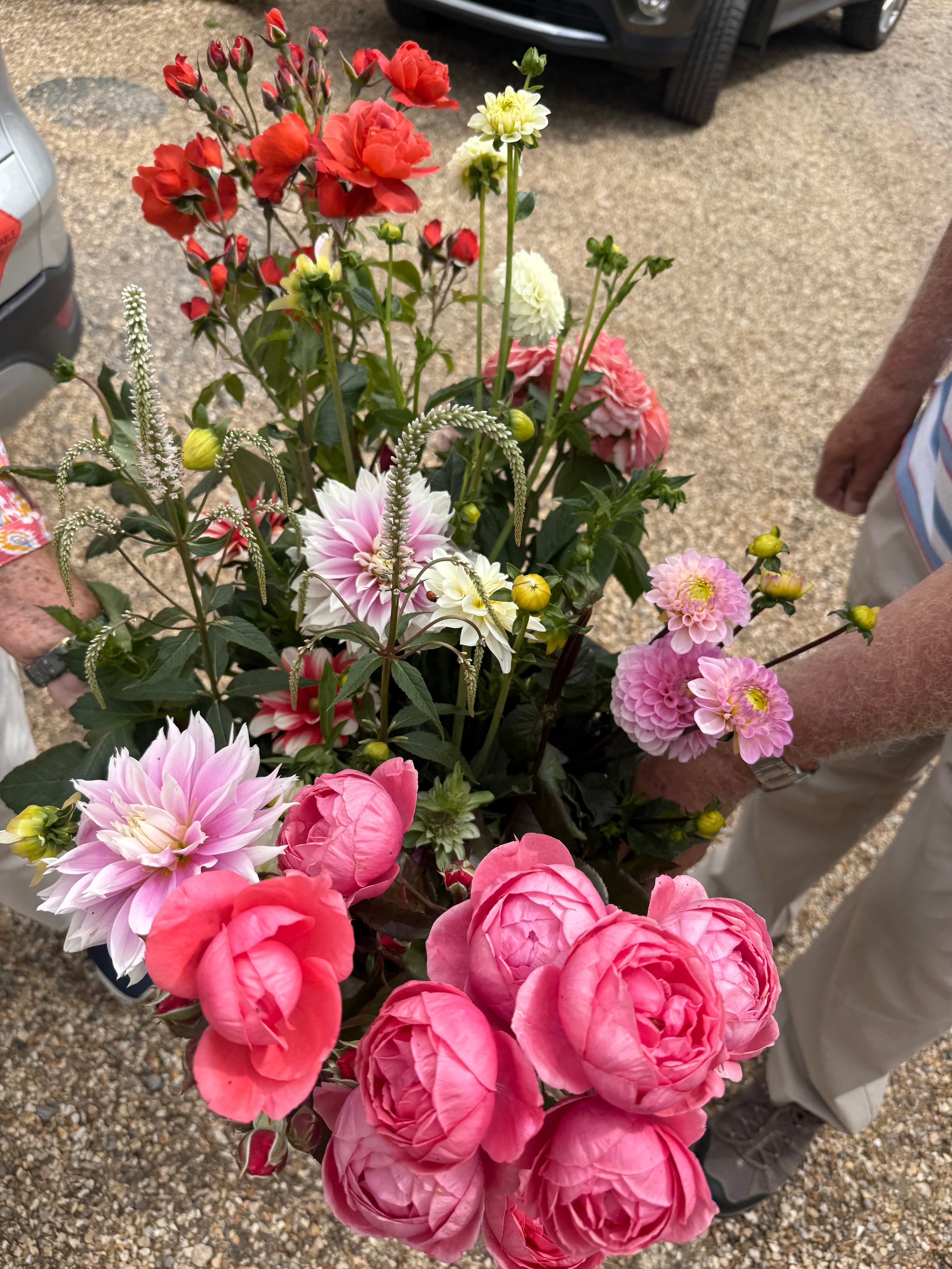 Cut Your Own Flowers - Wednesday 13th August