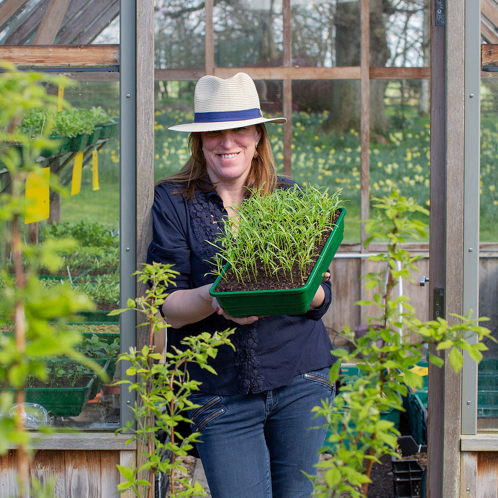 April Flower Farm Tour - Saturday 11th April 2026