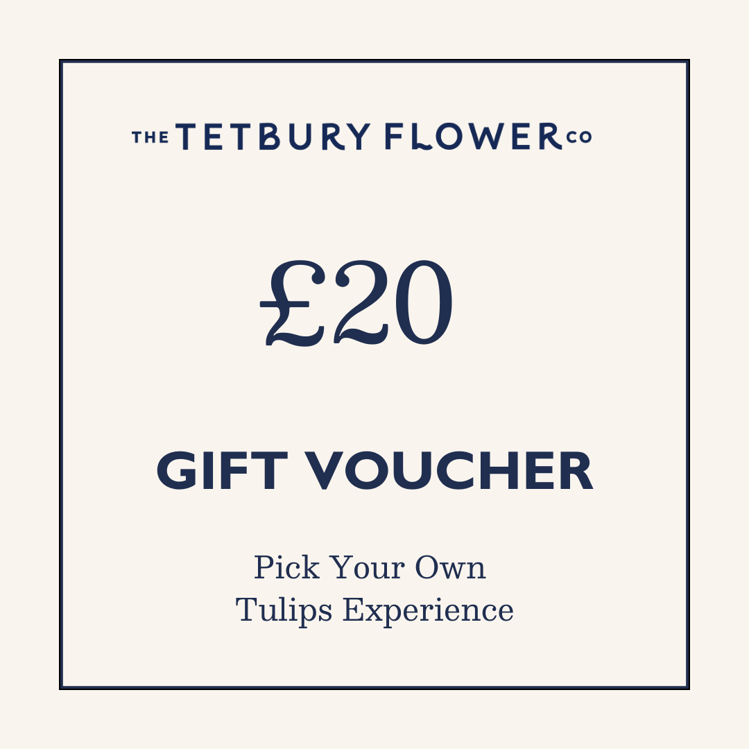 £20 Pick Your Own Tulips Voucher