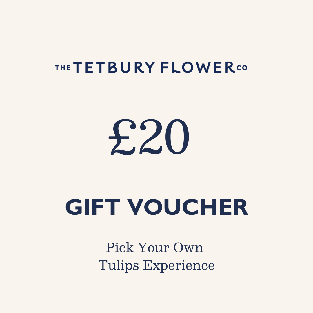 £20 Pick Your Own Tulips Voucher