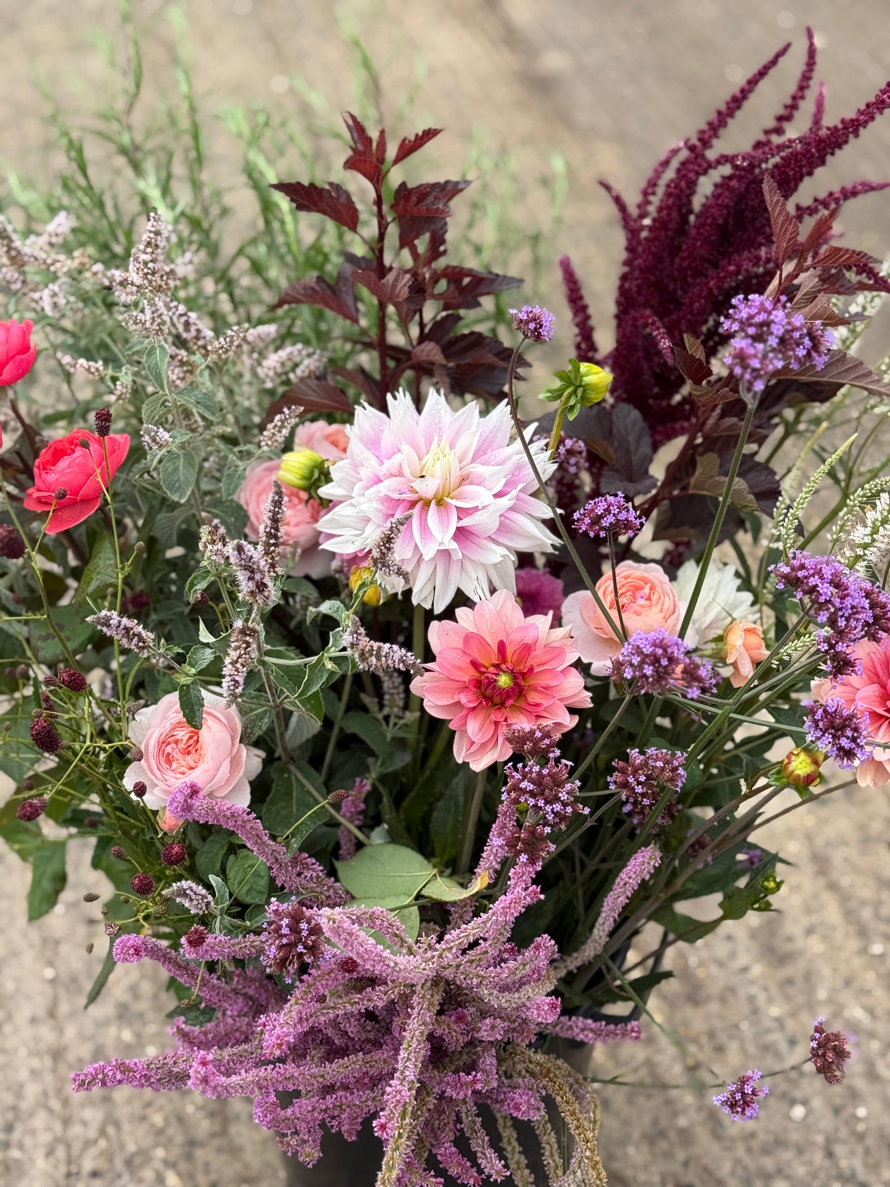 Cut Your Own Flowers - Wednesday 17th September