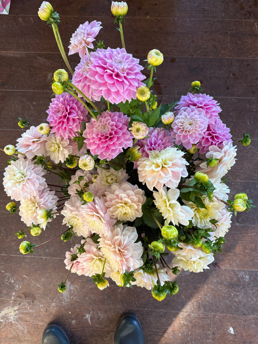 Cut Your Own Flowers - Thursday 27th August 2026