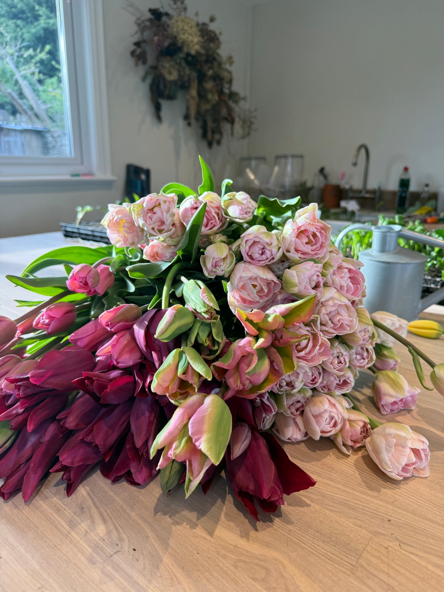 Bunches of British Field Grown Tulips