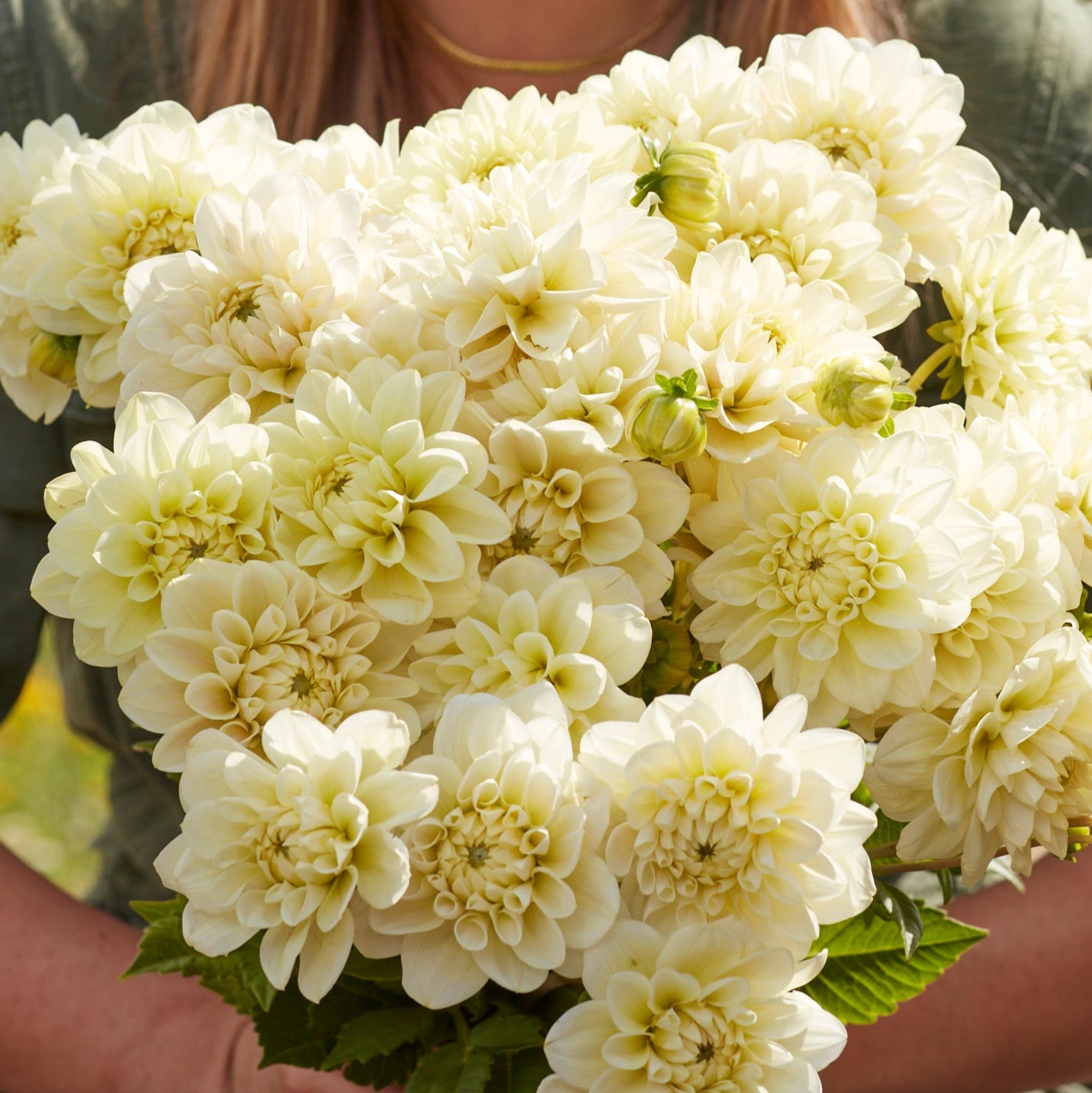 Dahlia 2L Caramel Antique