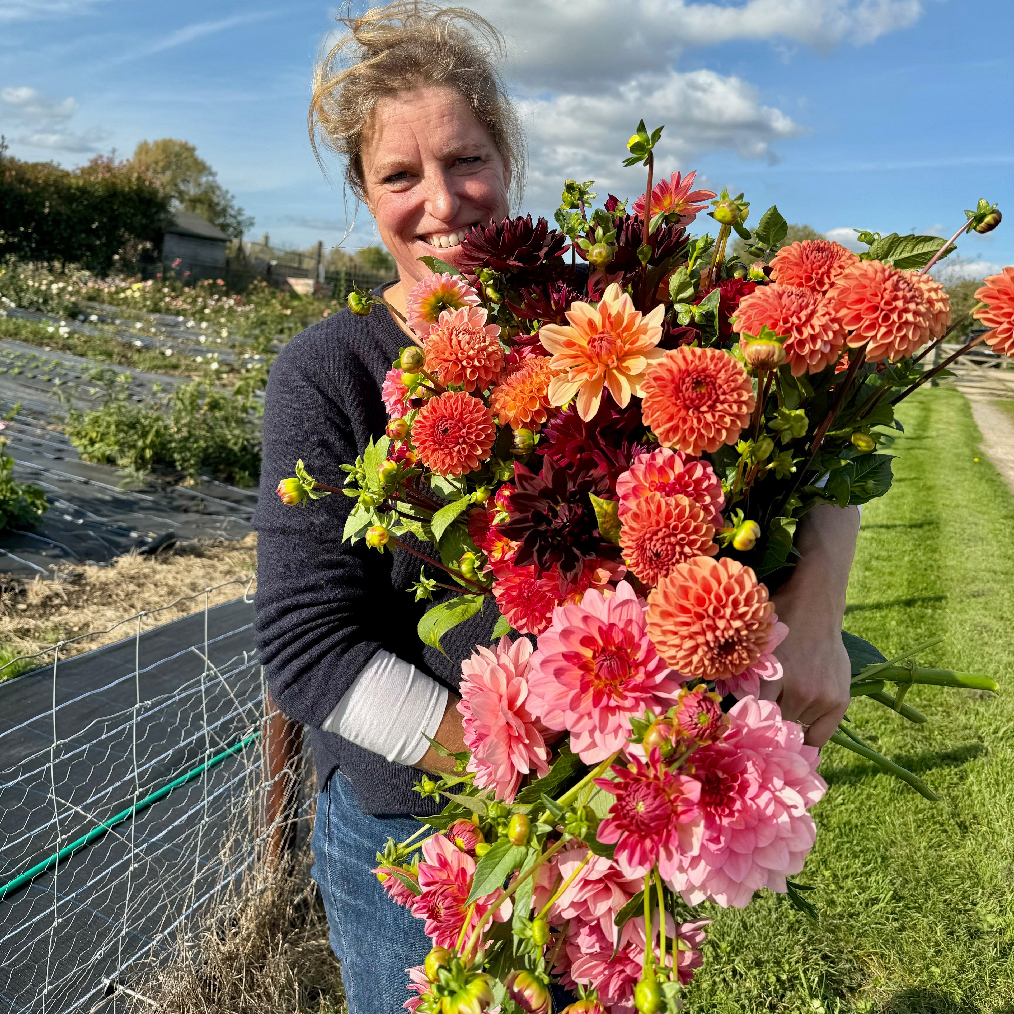 Dahlia Growing Masterclasses