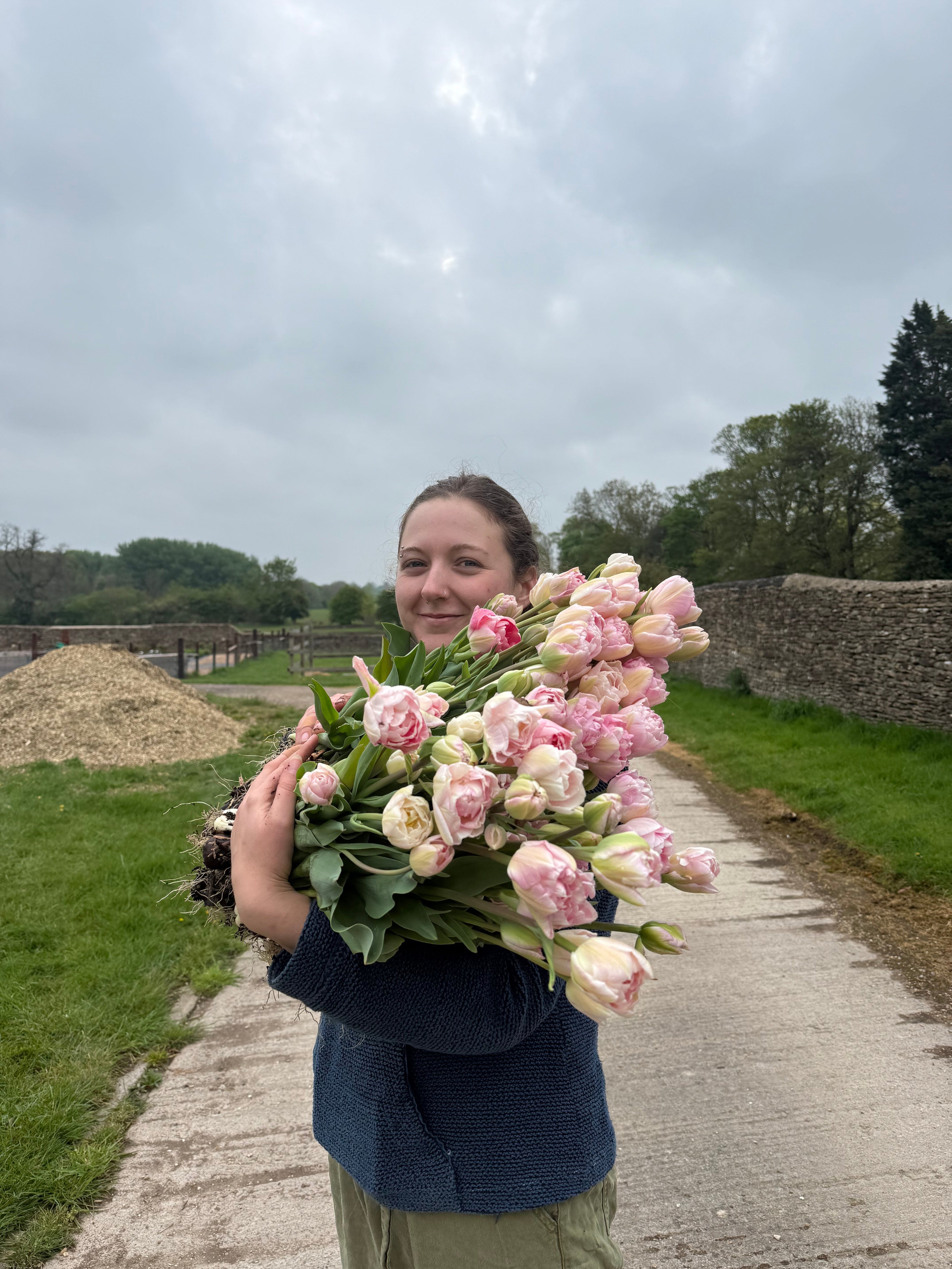 Pick Your Own British Field Grown Tulips