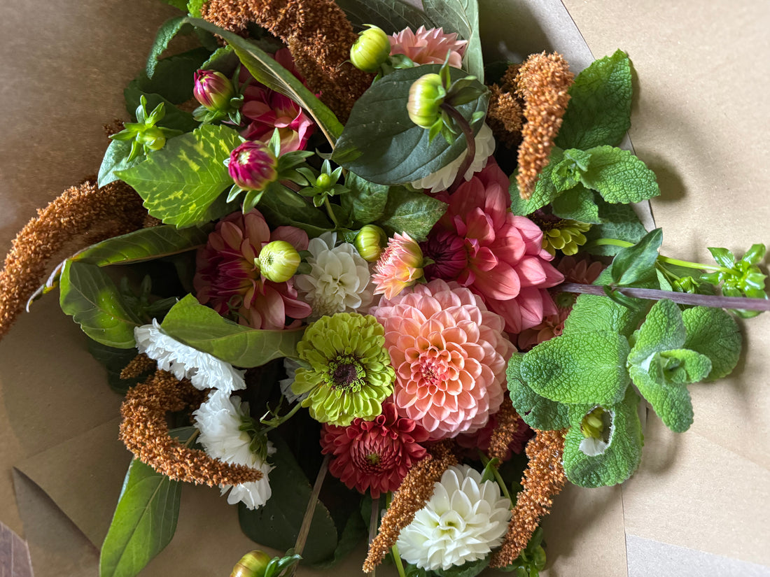 Cut Your Own Flowers - Thursday 21st August