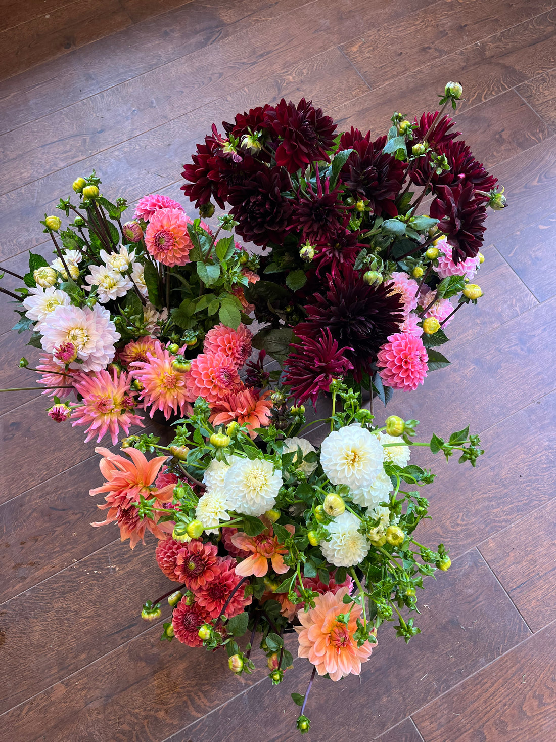 Cut Your Own Flowers - Friday 25th July