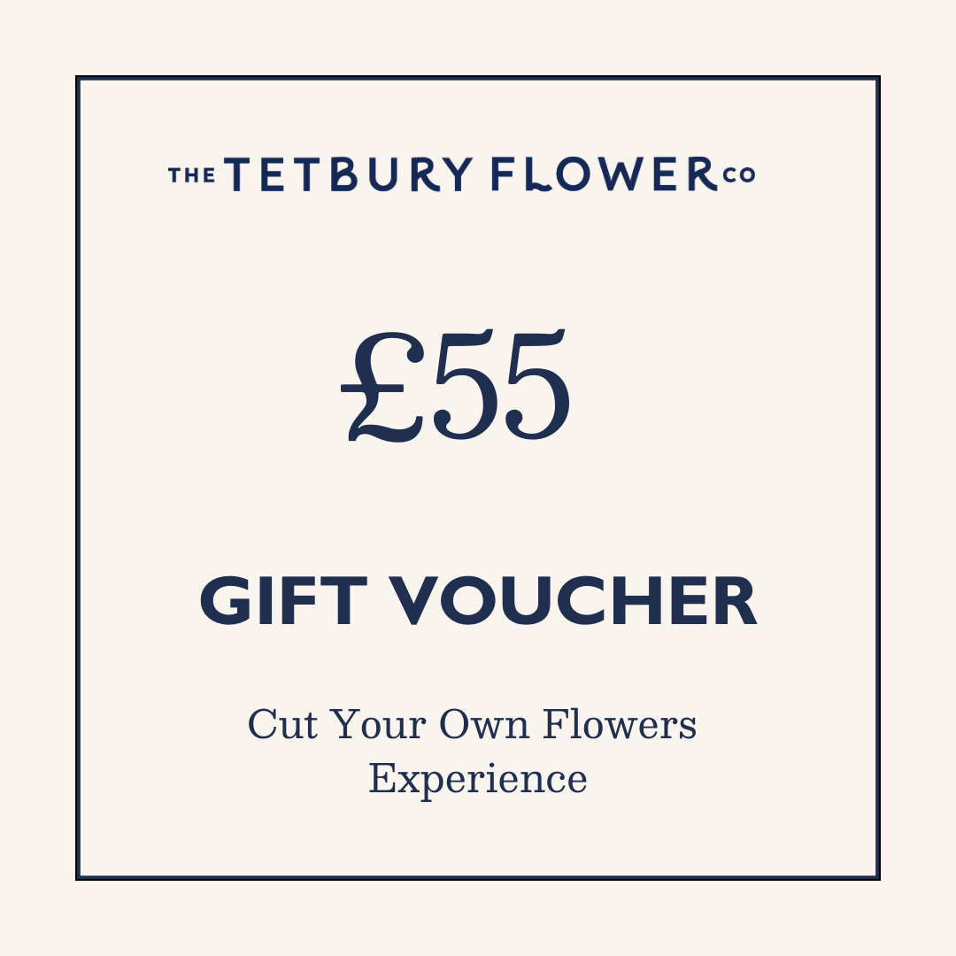 £55 Cut Your Own Flowers Experience Voucher