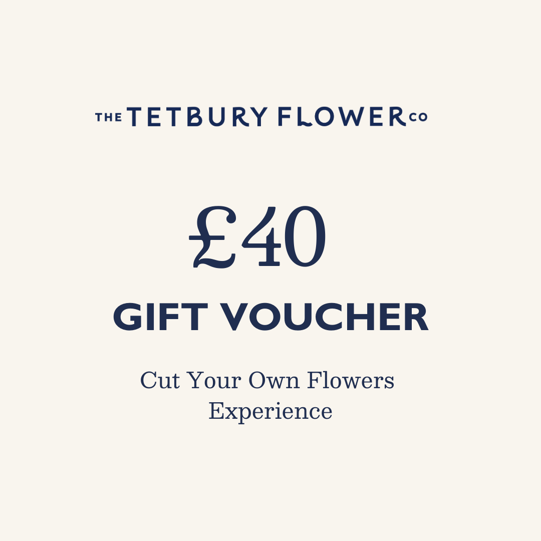 £40 Voucher: Cut Your Own Flowers
