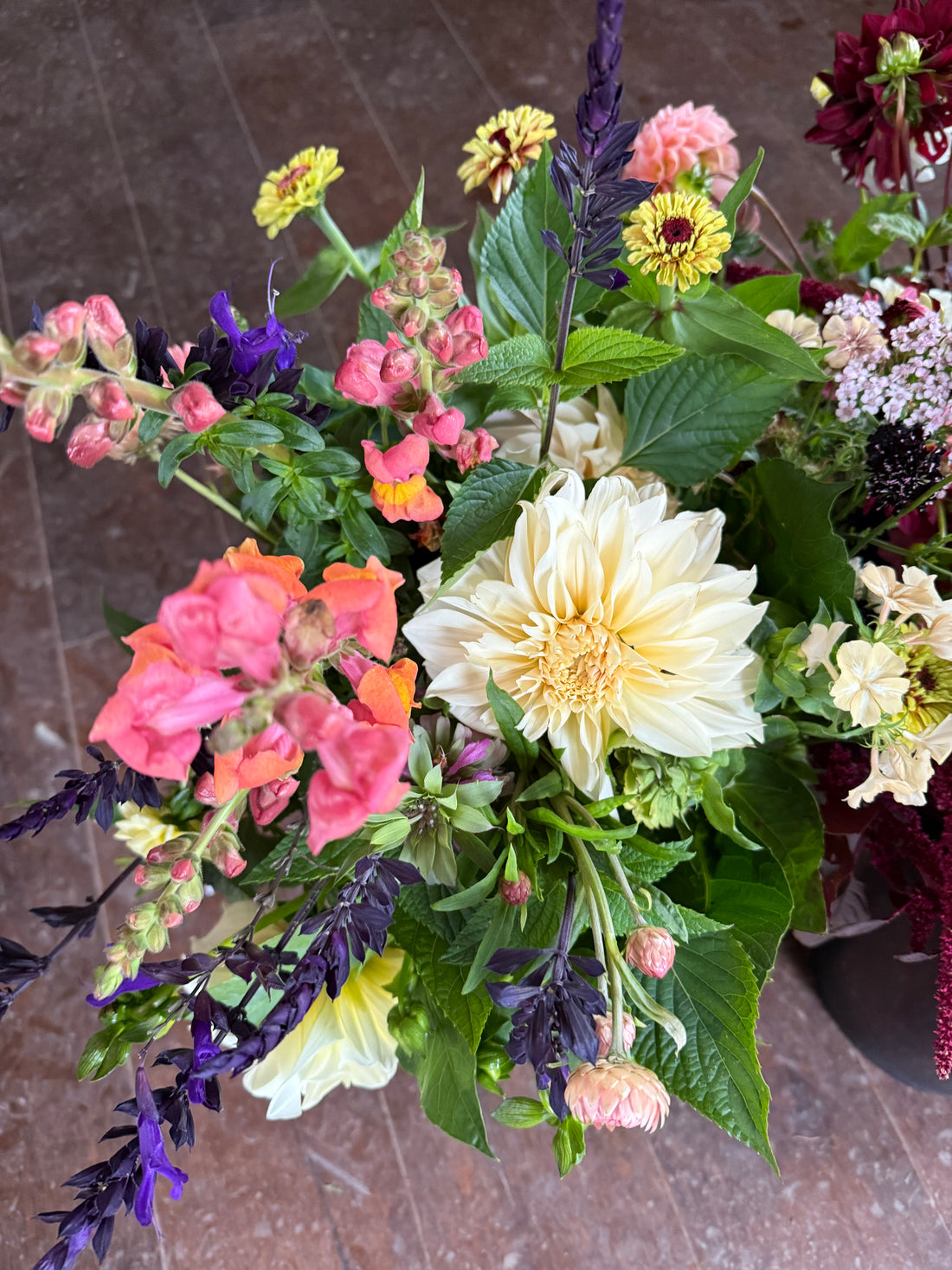 Cut Your Own Flowers - Friday 5th September