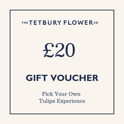 £20 Pick Your Own Tulips Voucher