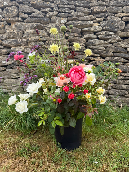 £55 Cut Your Own Flowers Experience Voucher