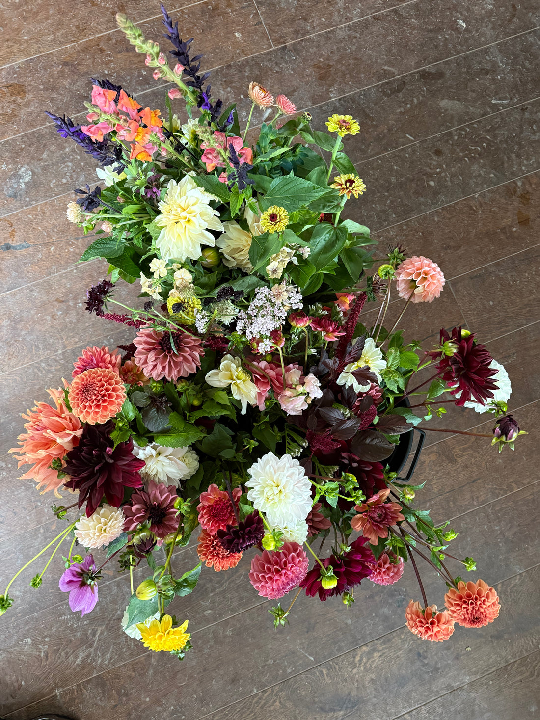 Cut Your Own Flowers - Wednesday 10th September