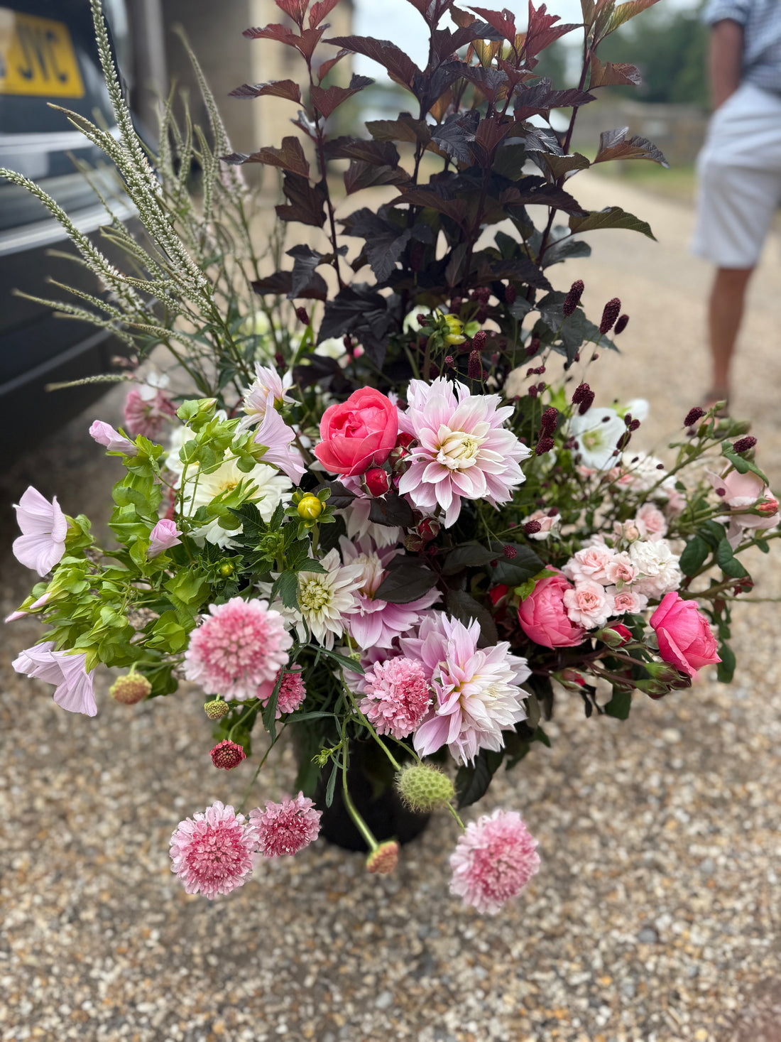 Cut Your Own Flowers - Friday 15th August