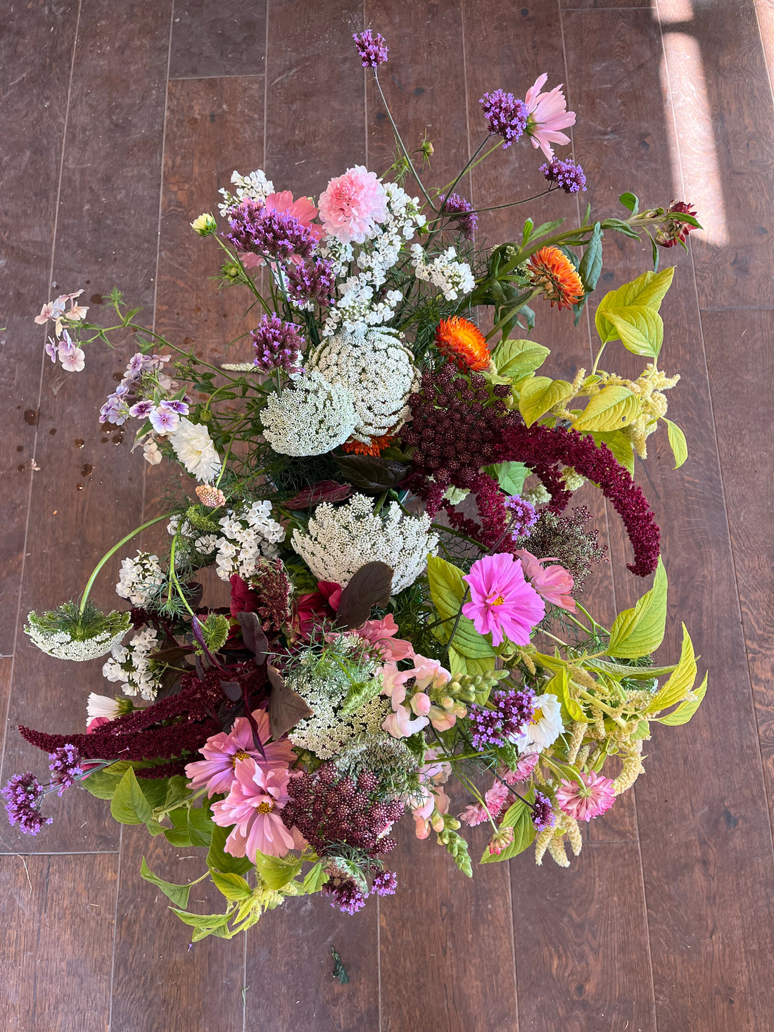 Cut Your Own Flowers - Thursday 31st July