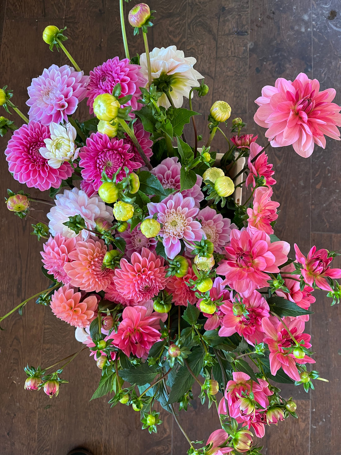 Cut Your Own Flowers - Saturday 2nd August