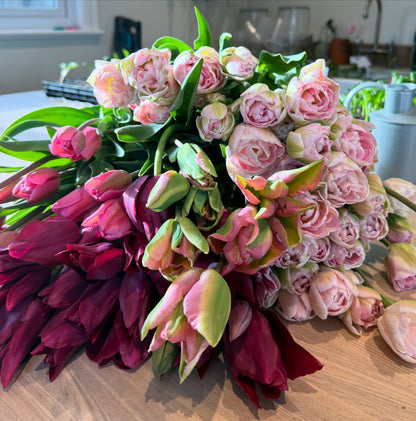 £20 Pick Your Own Tulips Voucher