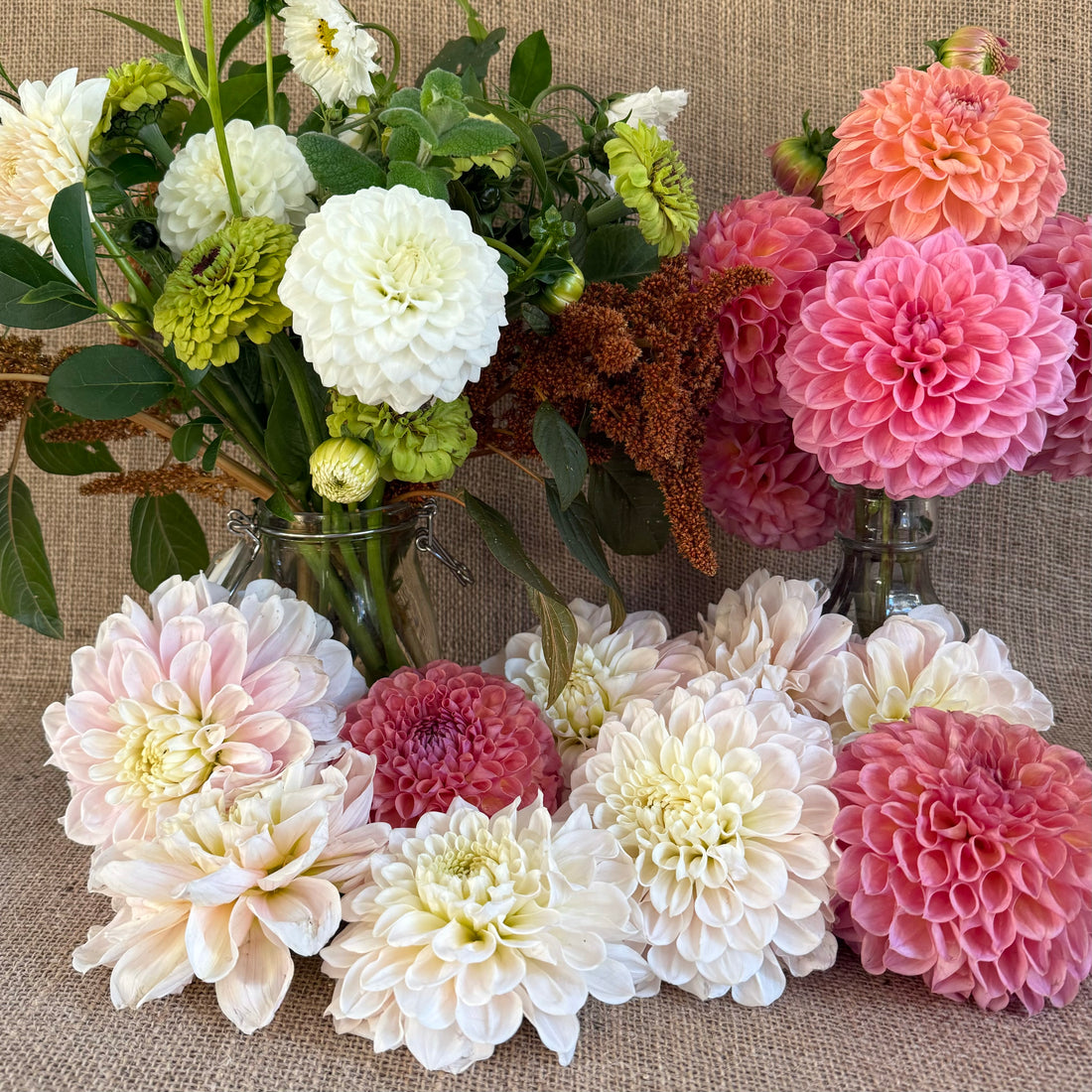 Cut Your Own Flowers - Friday 28th August 2026