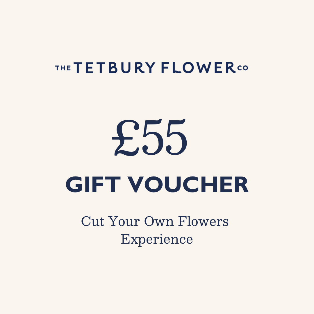 £55 Cut Your Own Flowers Experience Voucher