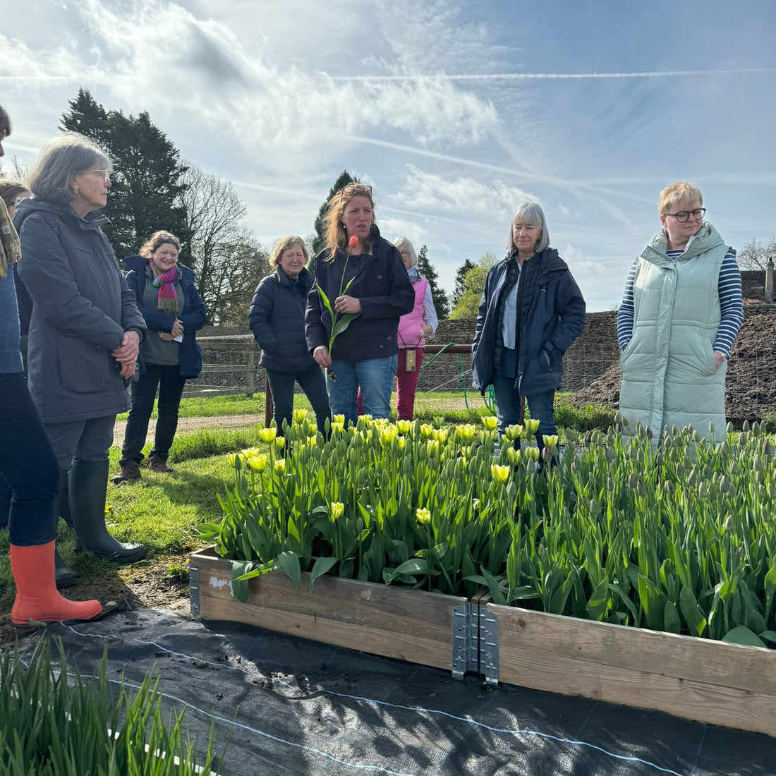 Mid May Flower Farm Tour - Saturday 17th May 2025