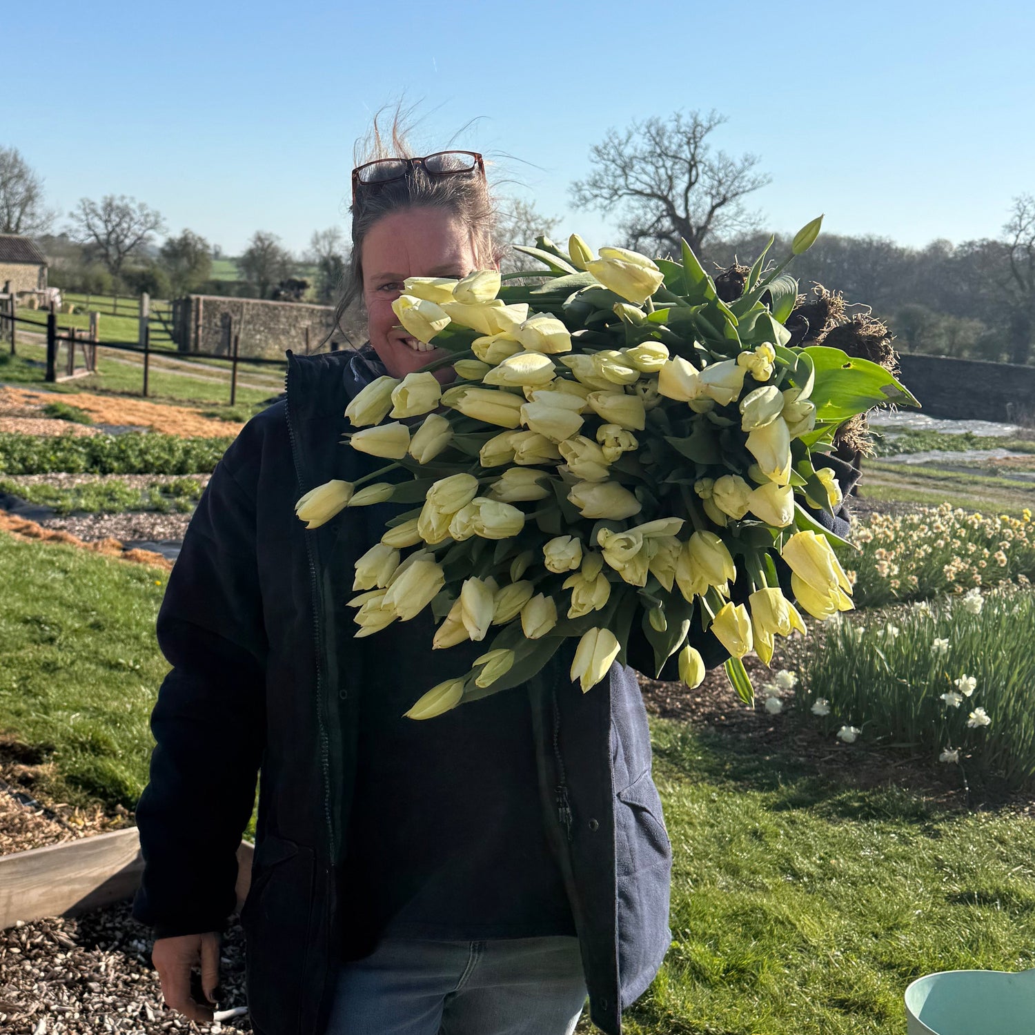 PYO Tulips Thursday 9th April