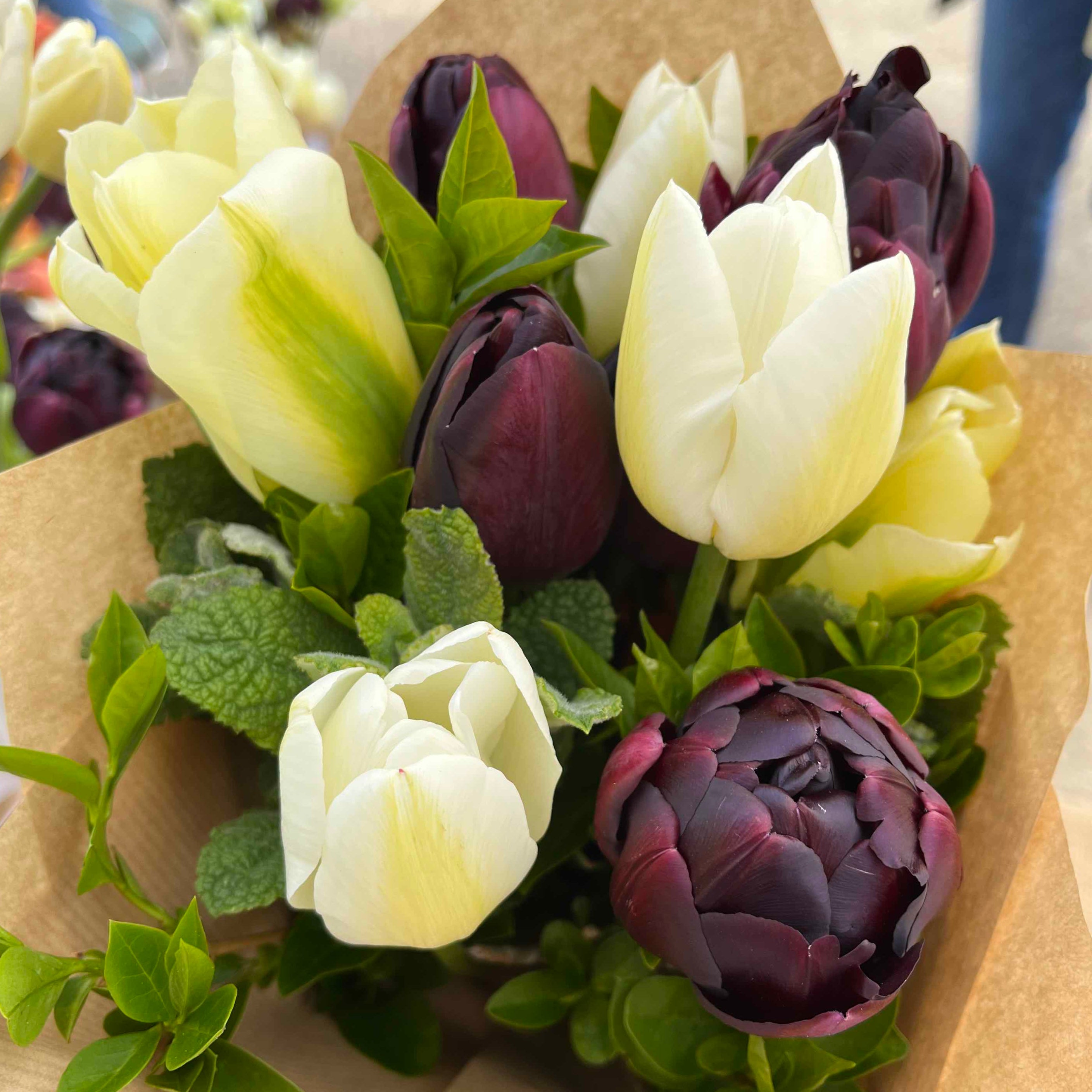 Bunches of British Field Grown Tulips